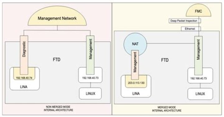 Azoffs, Brandon Creed Merge Management Companies