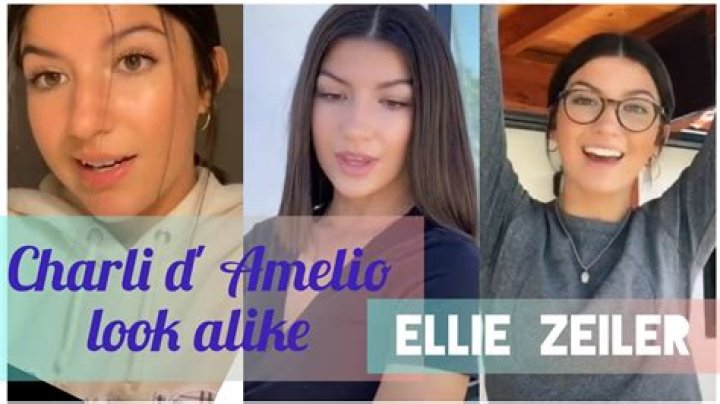 Charli D'Amelio Look-Alike Ellie Zeiler's Rise-to-Fame Story You Won't Find Elsewhere