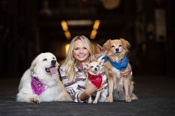 Miranda Lambert’s MuttNation Foundation & Tractor Supply Award $250k To Numerous Animal Shelters