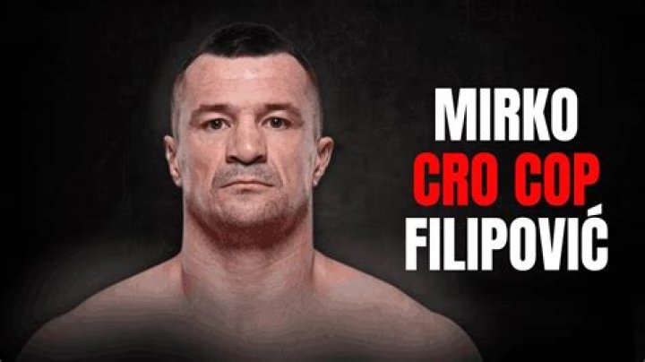 Mirko Cro Cop Filipović Official video statistics