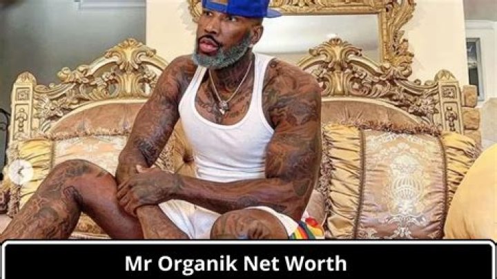 Mr_Organik net worth, income and estimated earnings of Youtuber channel