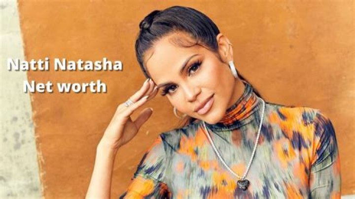 NATTI NATASHA net worth, income and estimated earnings of Youtuber channel