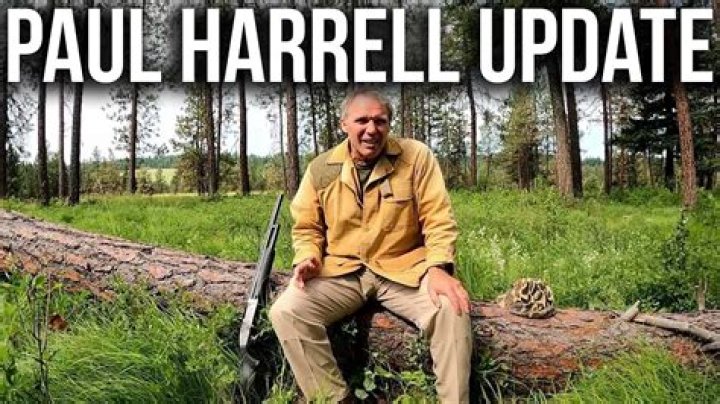 Paul Harrell net worth, income and estimated earnings of Youtuber channel