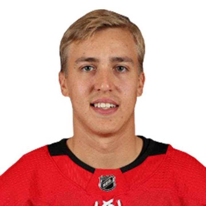 Teuvo Teravainen Biography-salary, net worth, married, girlfriend, wife, contract, stats, age, family, career, nationality, relationship, affair