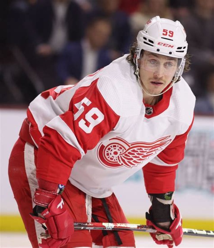 Tyler Bertuzzi Biography-salary, net worth, married, relationship, affair, career, girlfriend, dating, age, contract, stats, family
