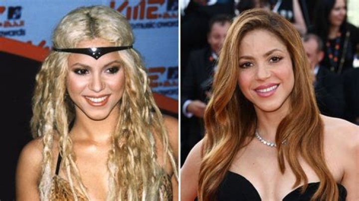 What Did Shakira Do Before She Was Famous?